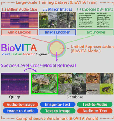 BioVITA